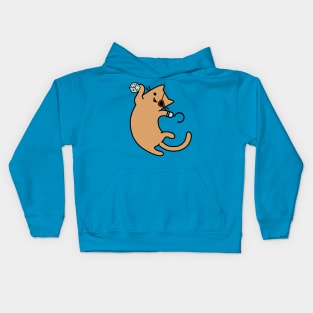 Cat Pirate Hook Kids Hoodie